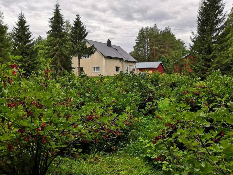 KoivuMukava Mummonmoekki Maaseudun Rauhassa别墅 外观 照片