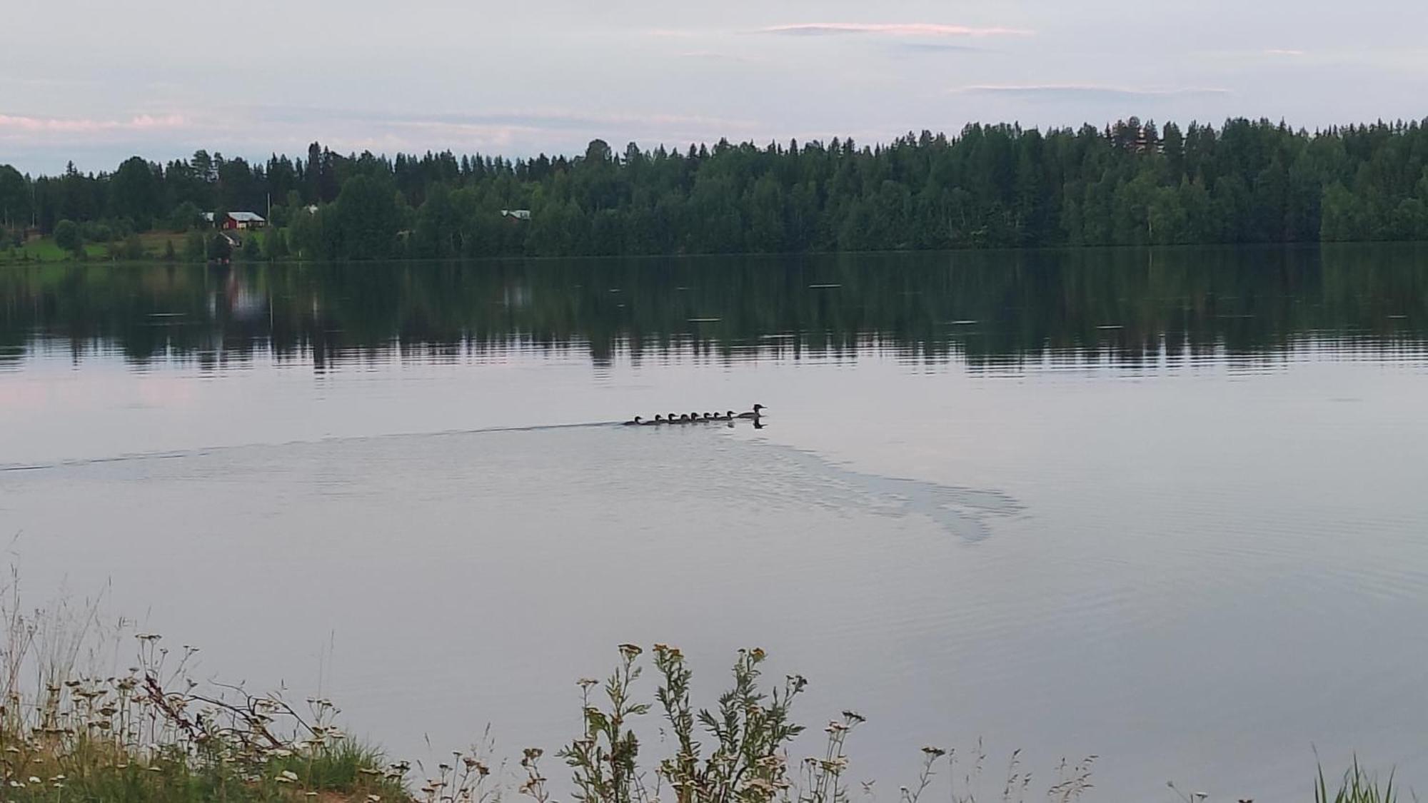 KoivuMukava Mummonmoekki Maaseudun Rauhassa别墅 外观 照片